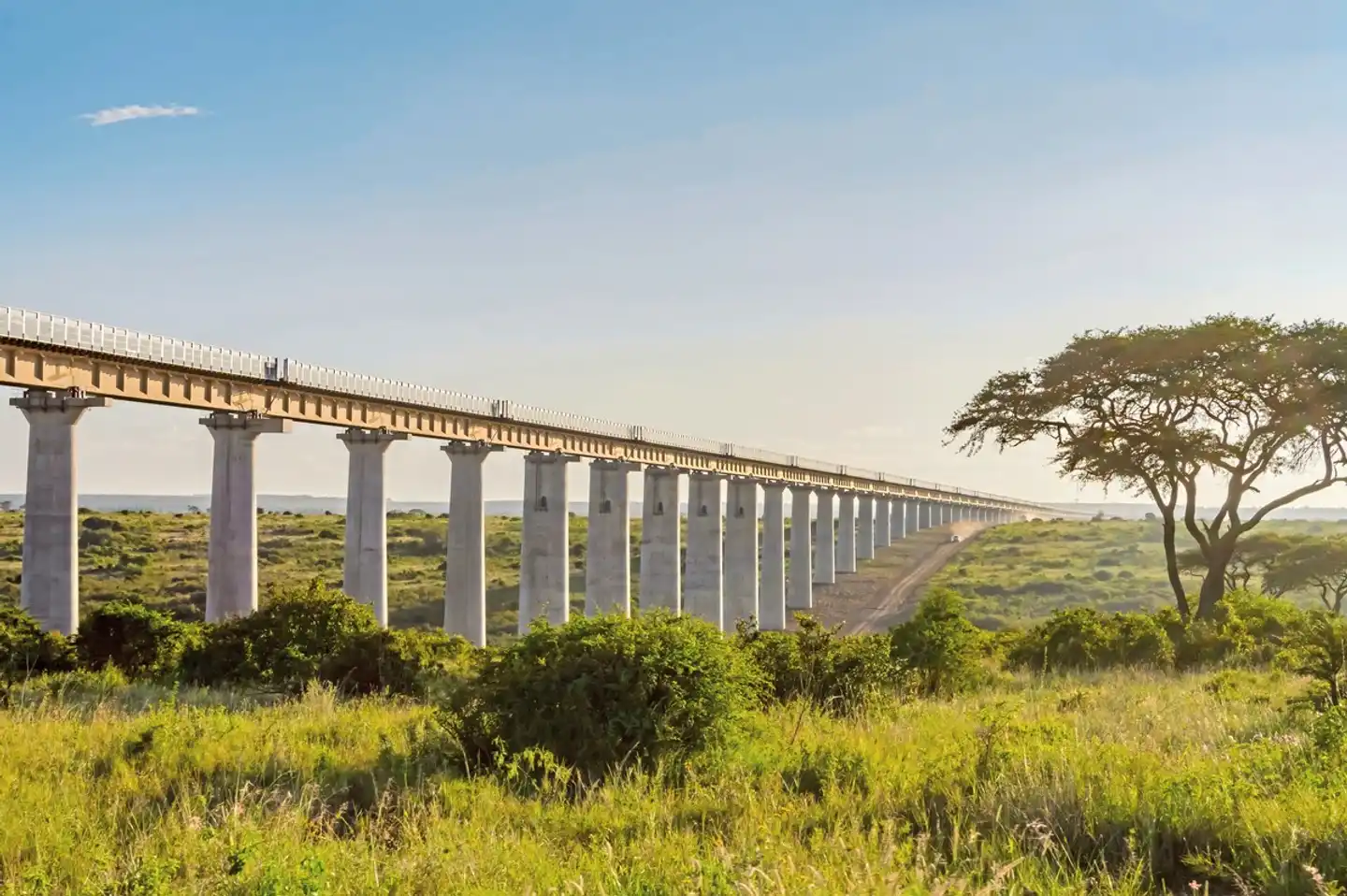 Die große Kenia Safari Landschaft