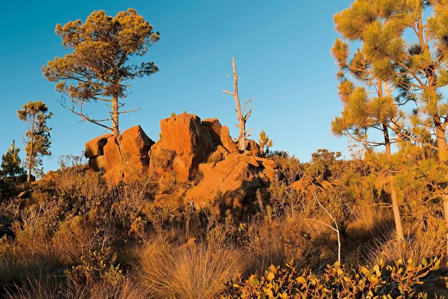 Naturabenteuer Dominikanische Republik Landschaft