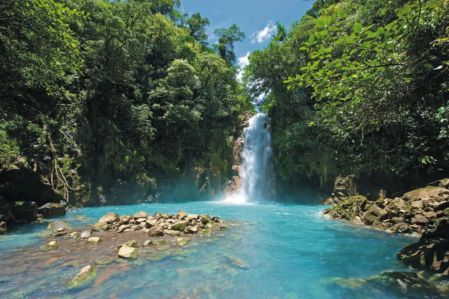 Tortuguero, Vulkane & Nebelwald Deluxe Landschaft