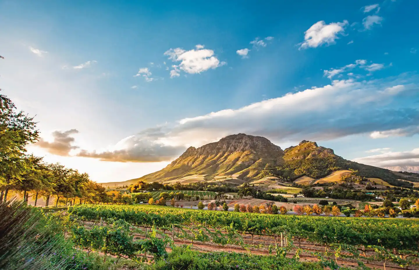 Südafrika - Die Highlights der Kapregion und Gardenroute erwandern Landschaft