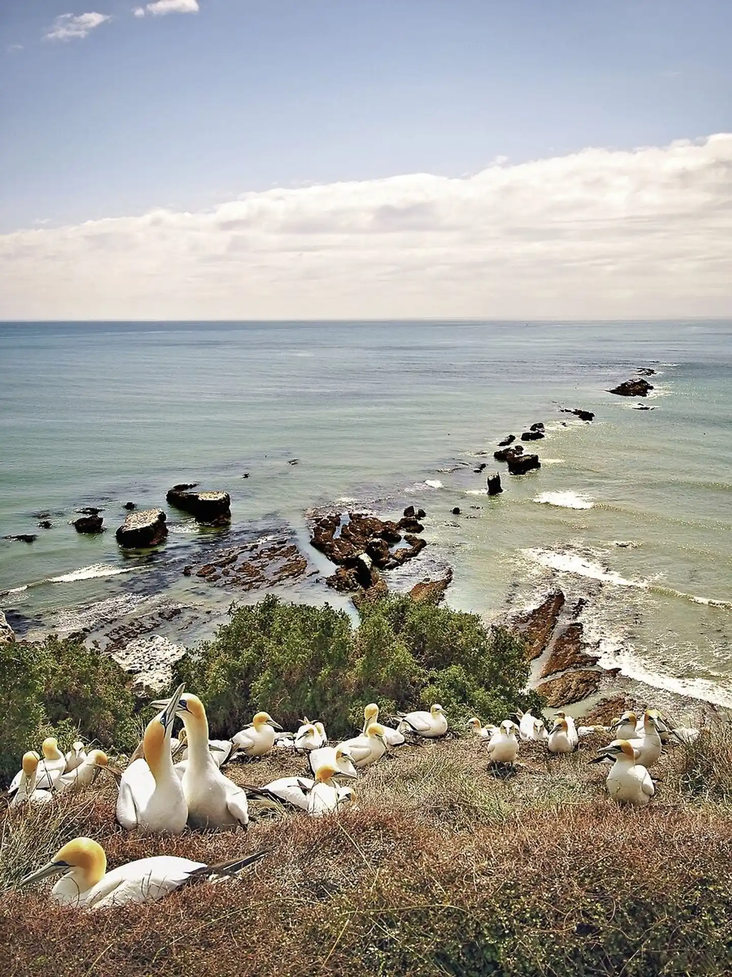 Neuseeland zum Verweilen (Auckland-Christchurch) Landschaft