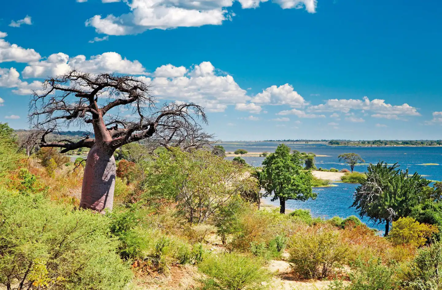 Botswana Kaleidoskop Landschaft