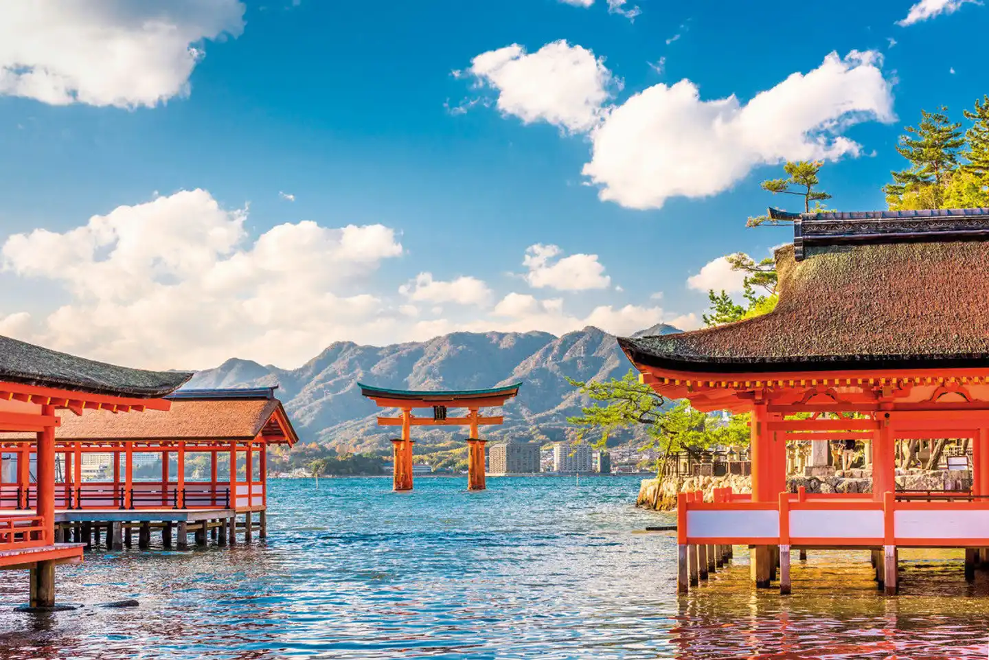 Japans Insel-Quartett (nur Landprogramm) Sport und Entertainment