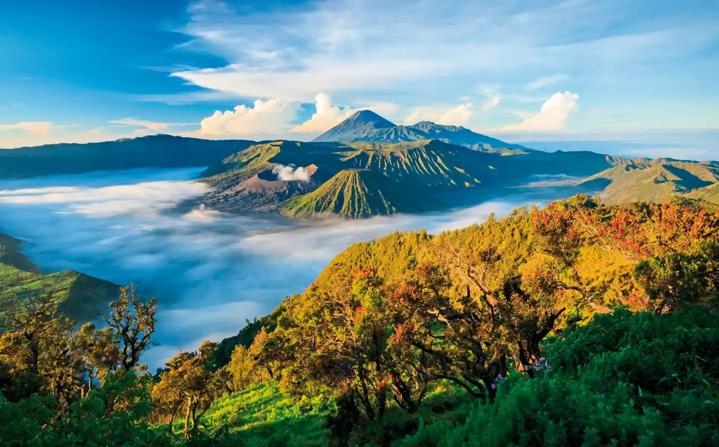 Höhepunkte Indonesiens - Sumatra und Java entdecken (Gruppenreise) Landschaft
