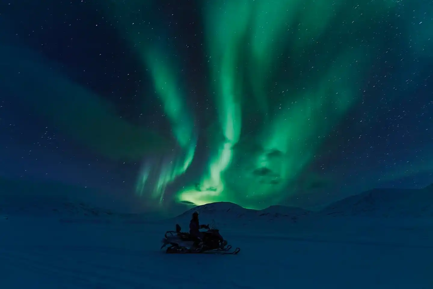 Polarlichtmetropole Kiruna Tiere