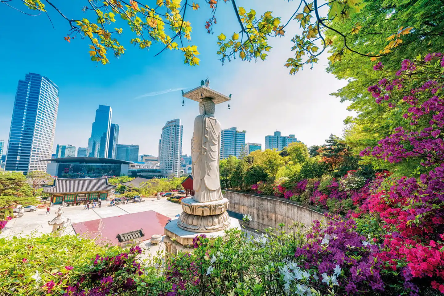 Südkorea aktiv (inkl. Flug) Garten