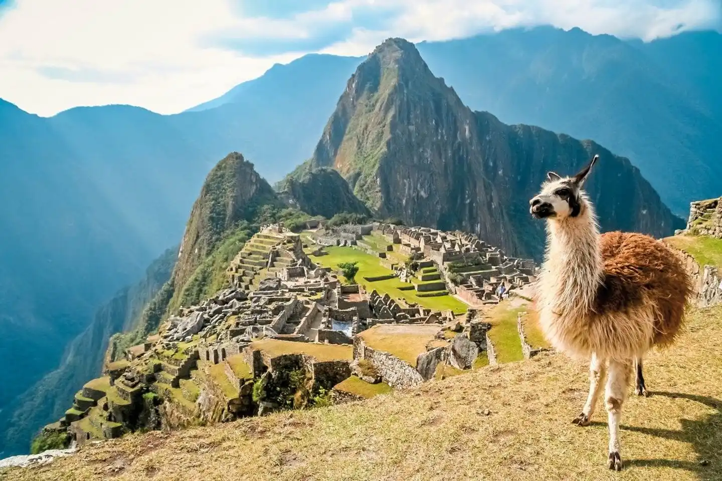 Peru - Am legendären Inka Trail Tiere