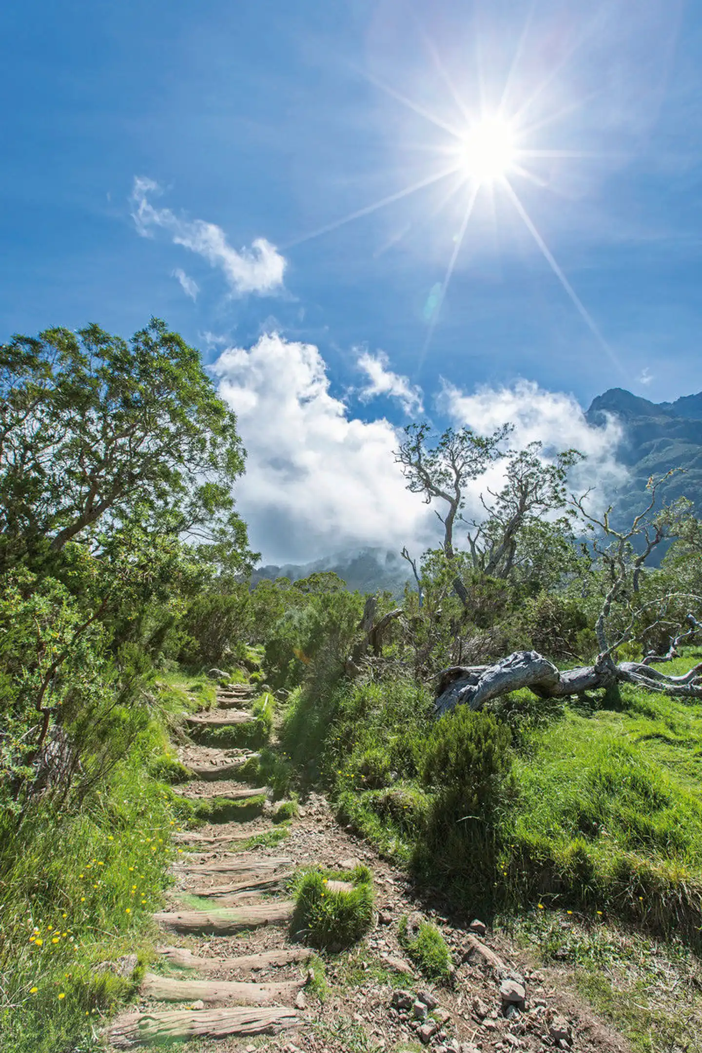 Der Talkessel Mafate: Einzigartiges Wanderparadies Landschaft