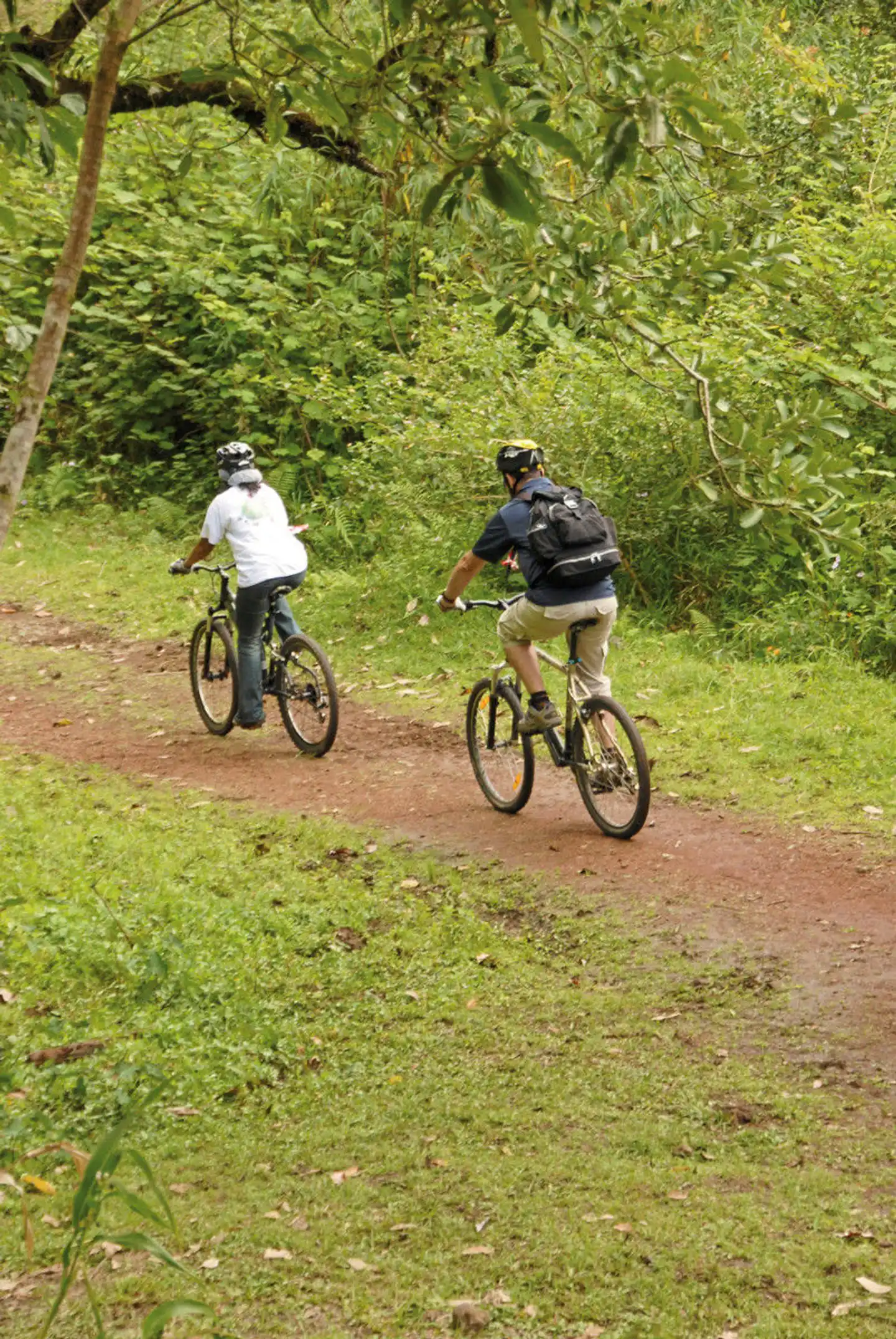 La Réunion - Nachhaltig das Paradies entdecken Sport und Entertainment