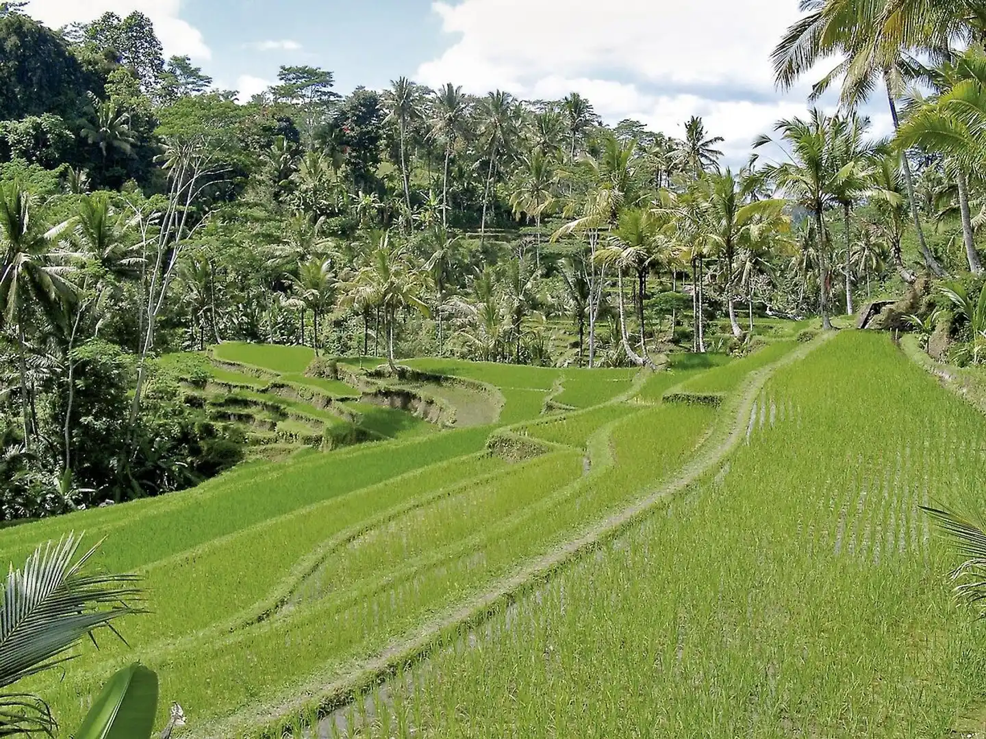 Bali exklusiv Sport und Entertainment