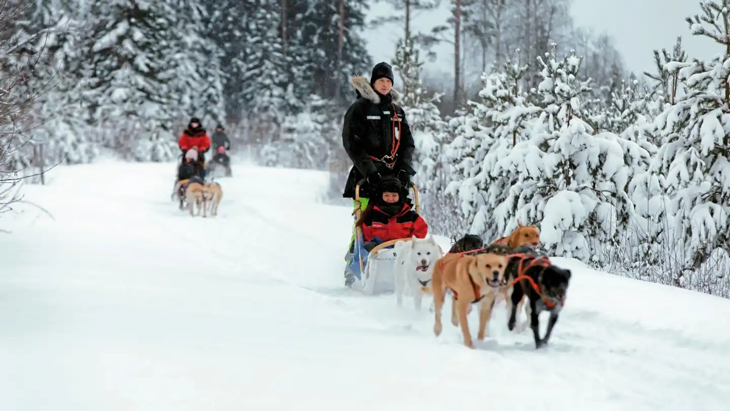 Winterabenteuer in Vuokatti - Vuokattinmaa Holiday Apartments Sport und Entertainment