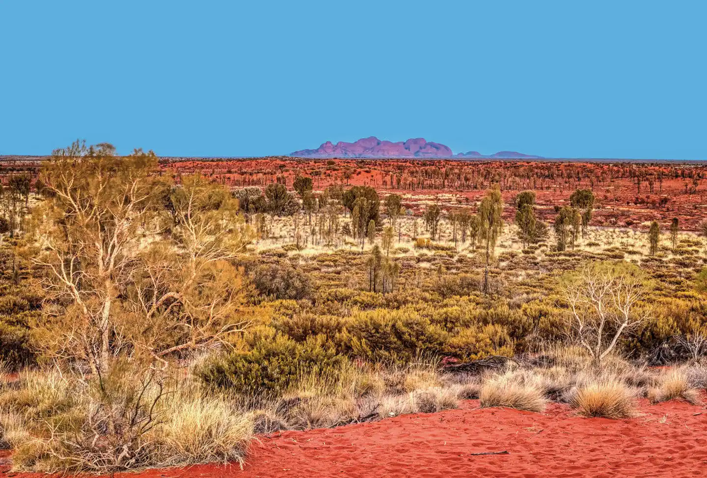 Höhepunkte Australiens (ab Sydney/bis Perth) Landschaft