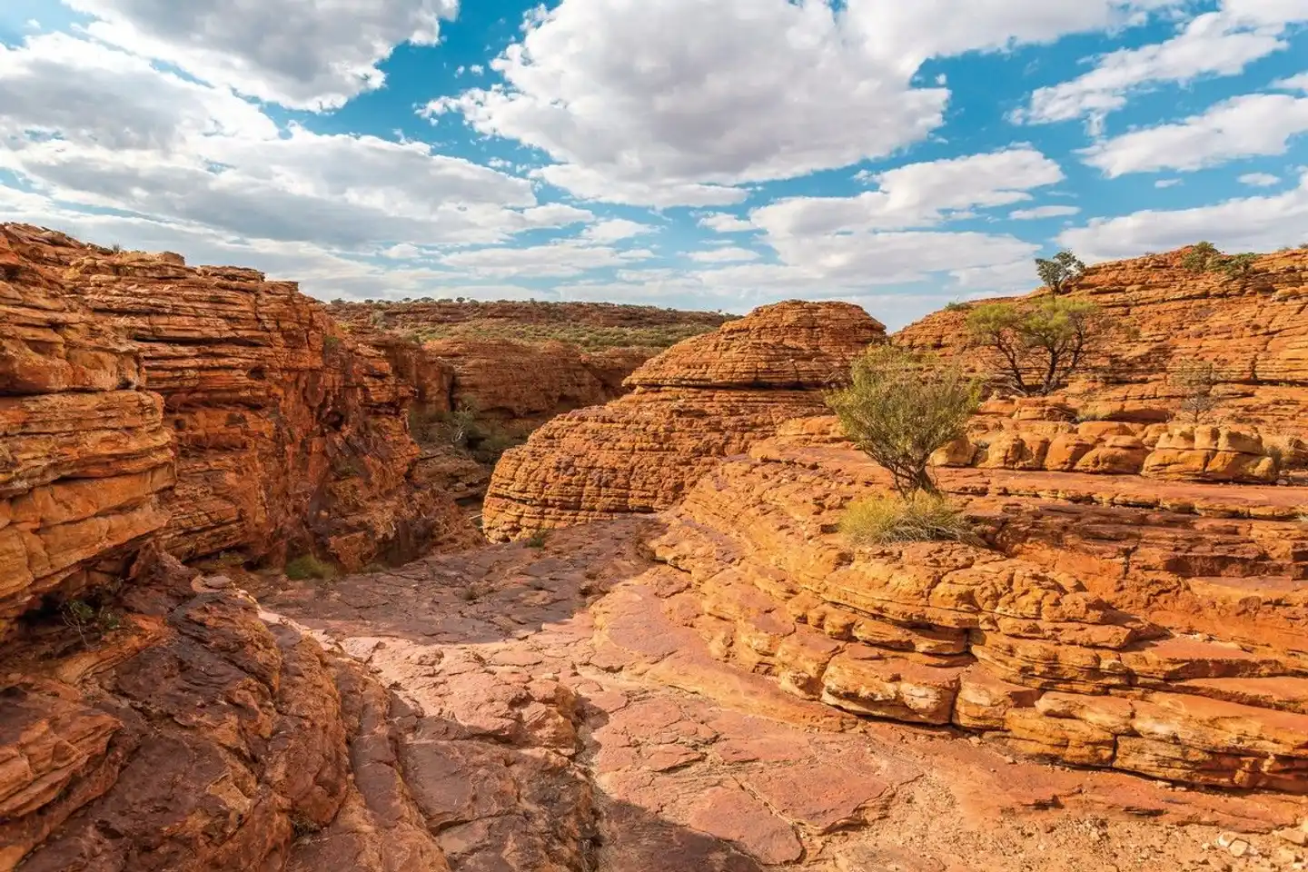 Naturparadiese und Weltstädte Landschaft