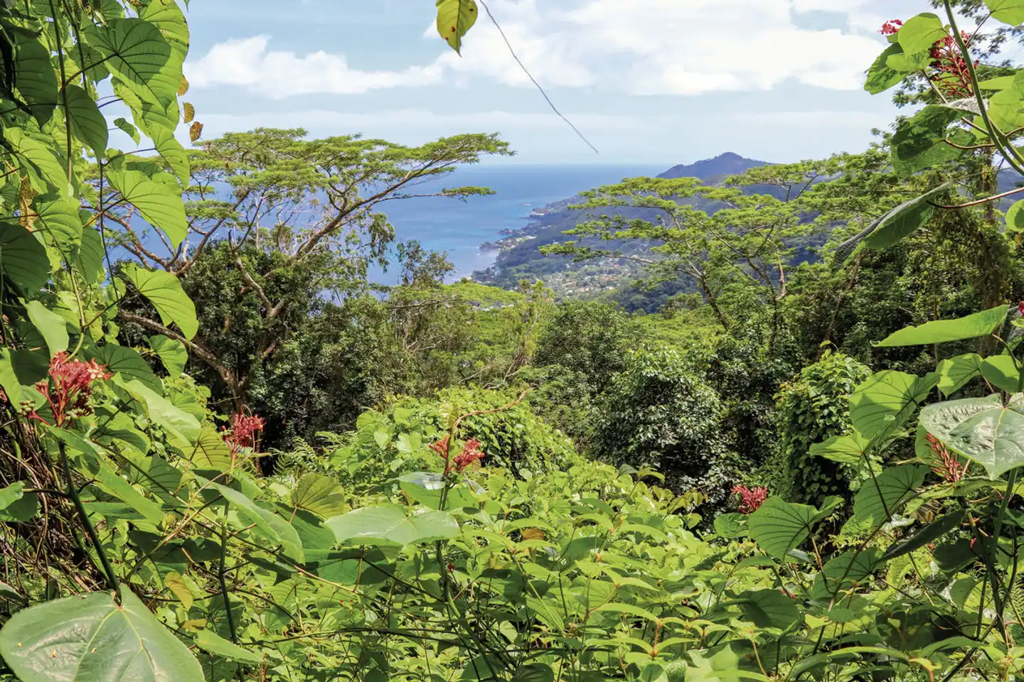 Island Hopping Seychellen (Hotels: gehobene Mittelklasse, Privat- Flug- und Bootstransfers, 8 Nächte) Landschaft