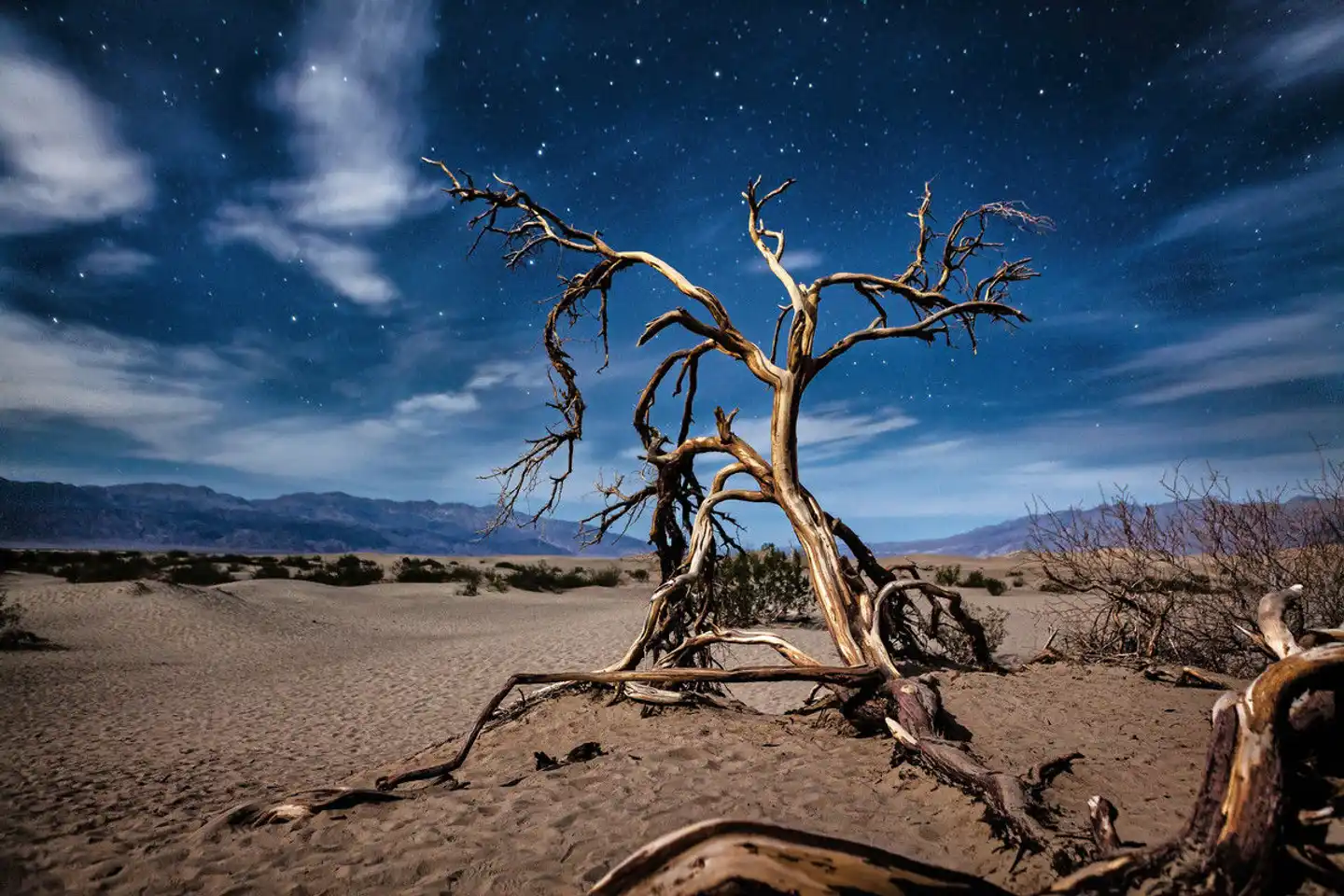 Las Vegas & die Nationalparks Landschaft