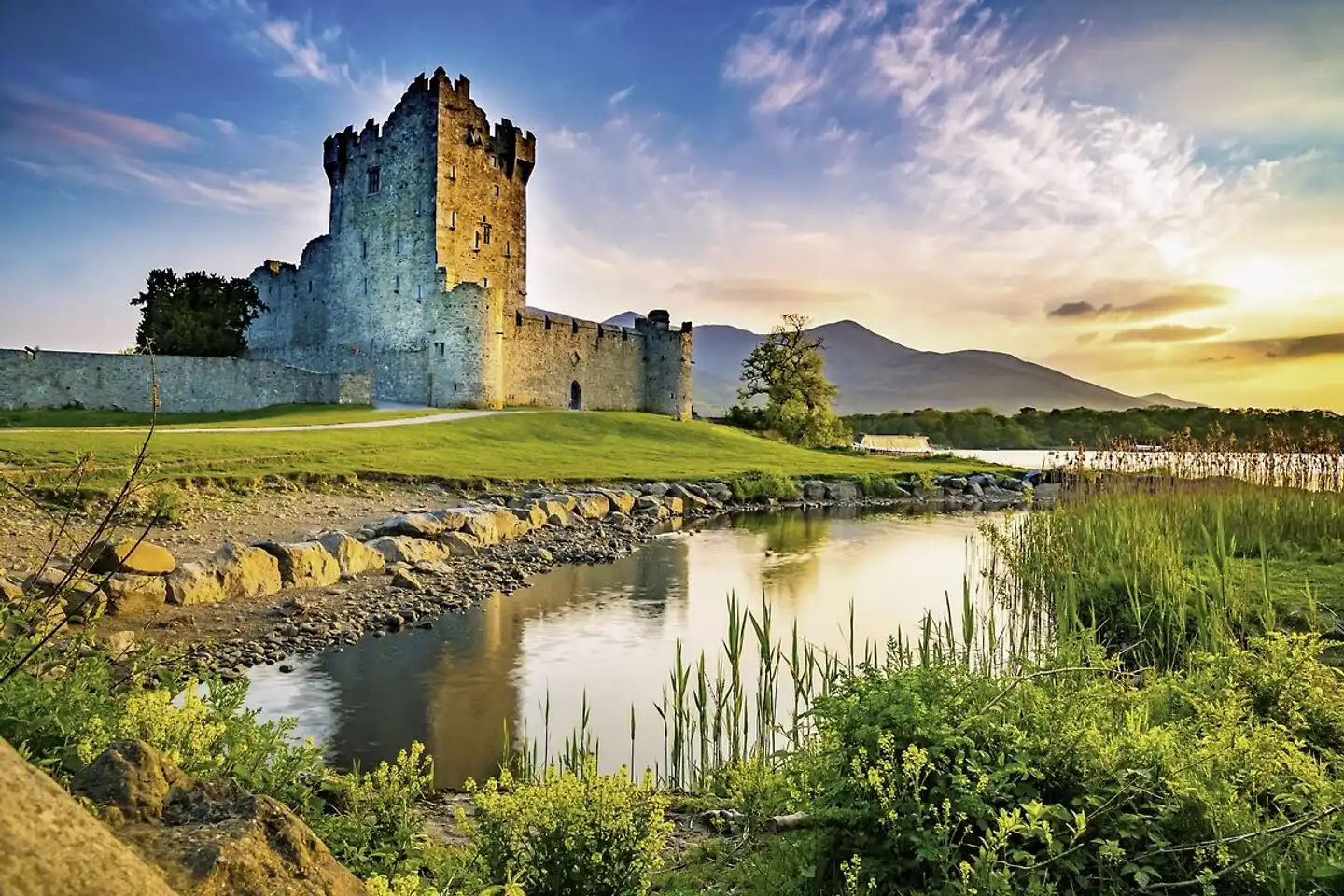 Höhepunkte rund um Killarney plus Garten