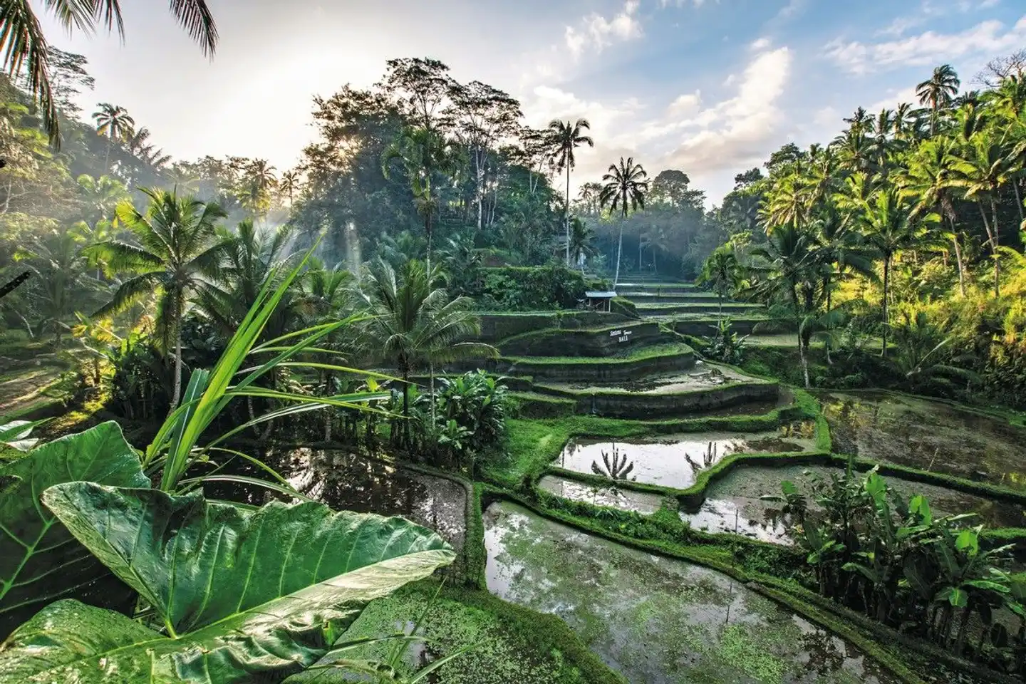 Abenteuer Westbali & Ostjava (Privatreise) Garten