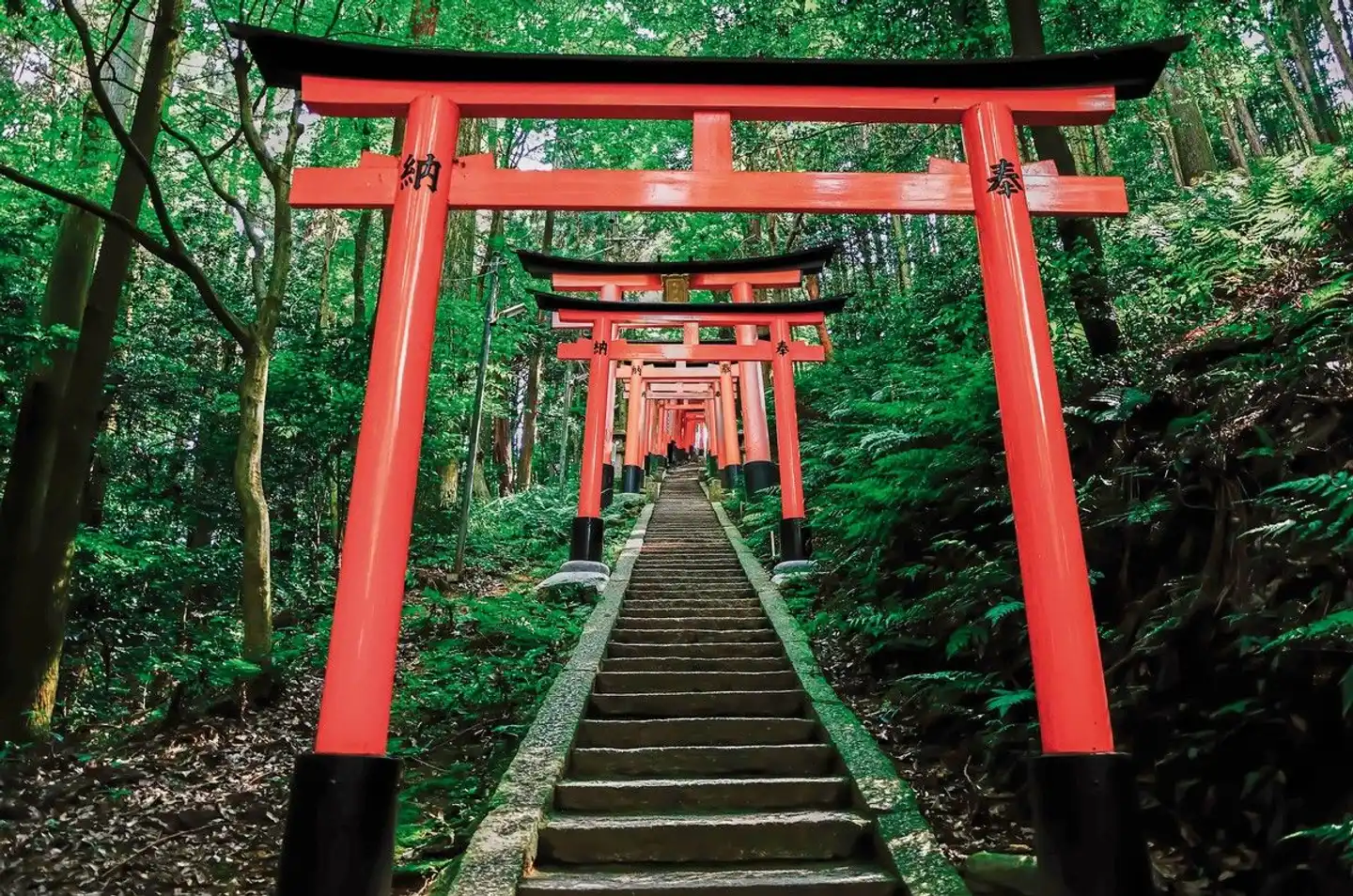 Japan Kaleidoskop (inkl. Flug) Garten