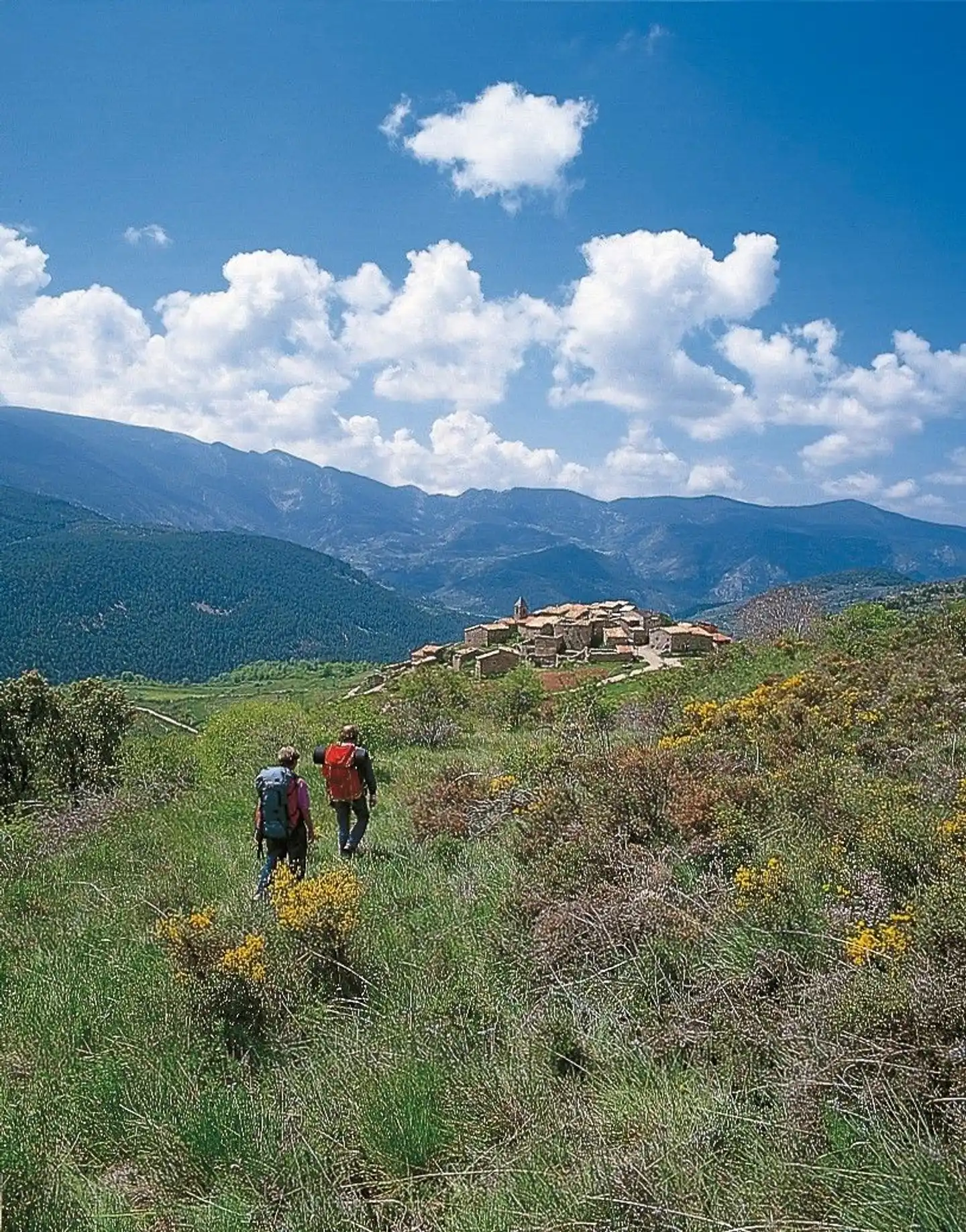 Wandern auf dem Jakobsweg - Die portugiesische Route an der Küste intensiv Landschaft