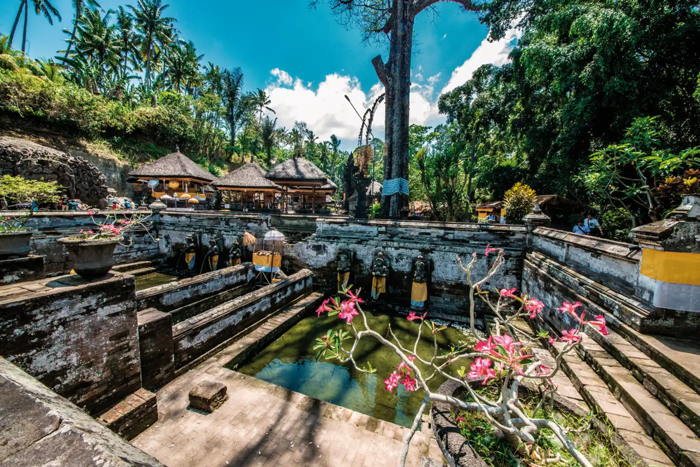 Bali komplett (Gruppenreise) Landschaft