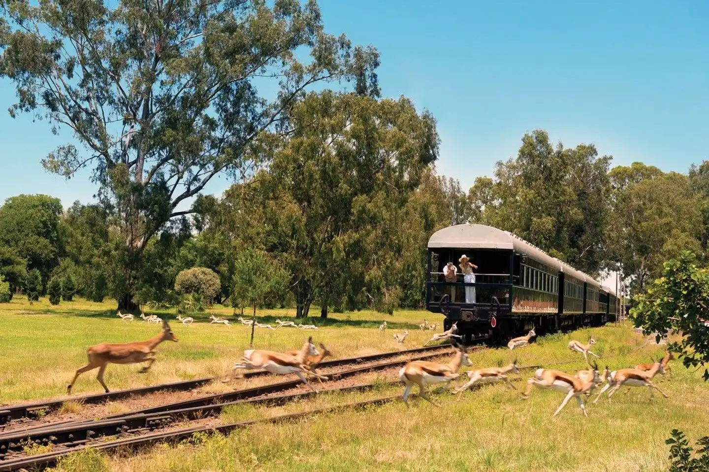 Rovos Rail - The Pride of Africa Sport und Entertainment