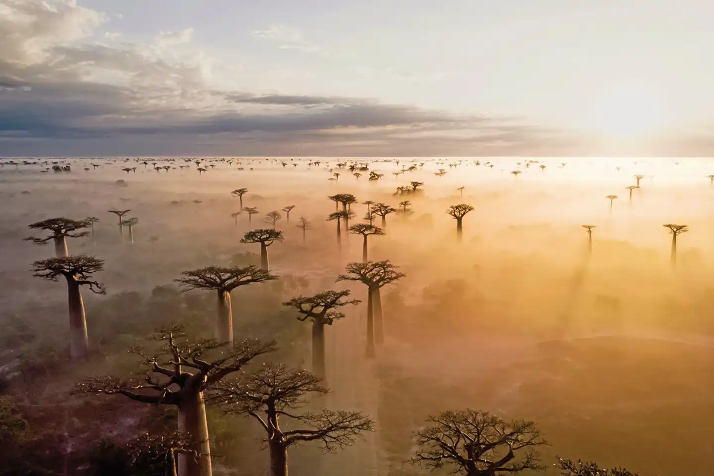 Höhepunkte Madagaskars Landschaft