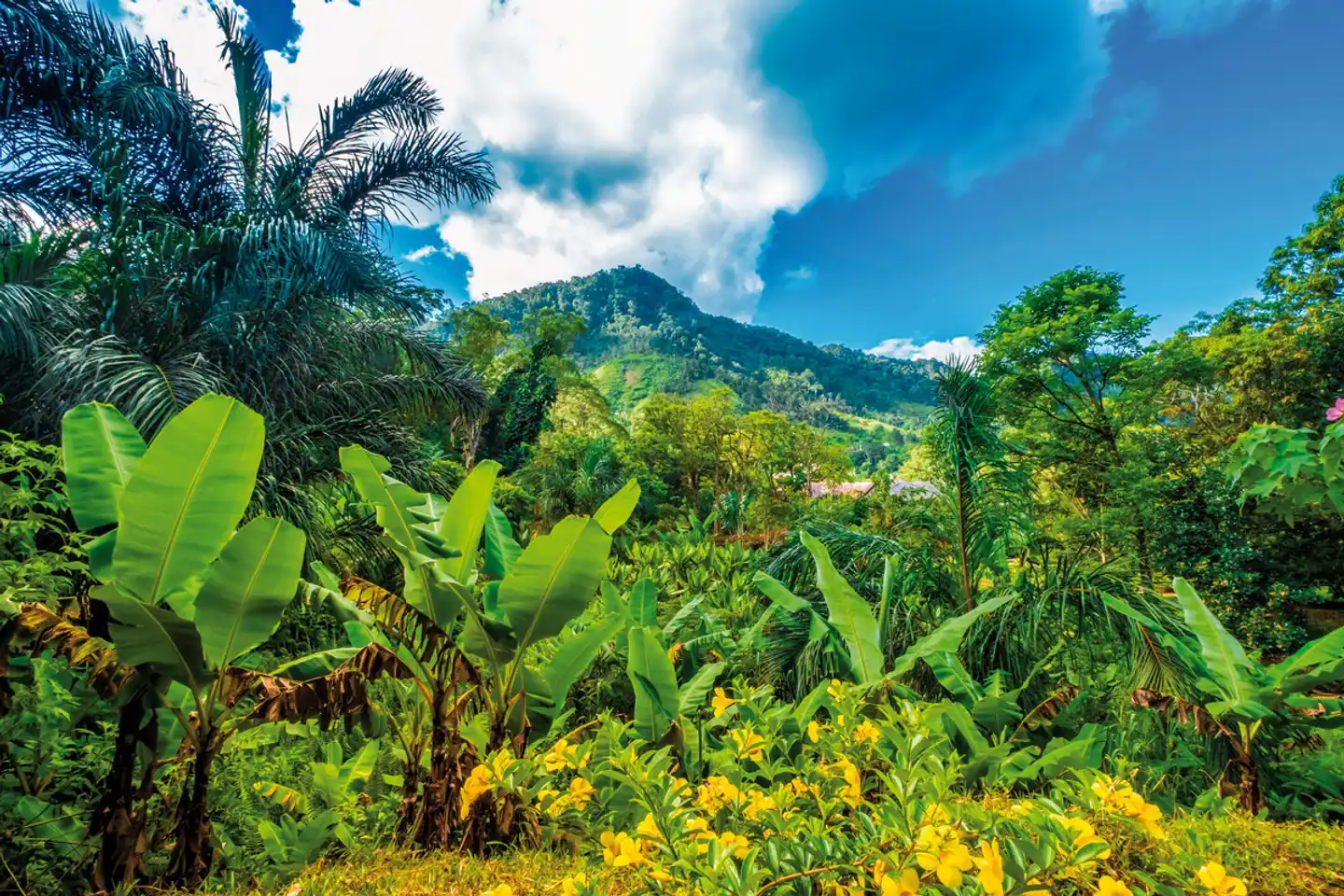 Madagaskar Intensiv Landschaft