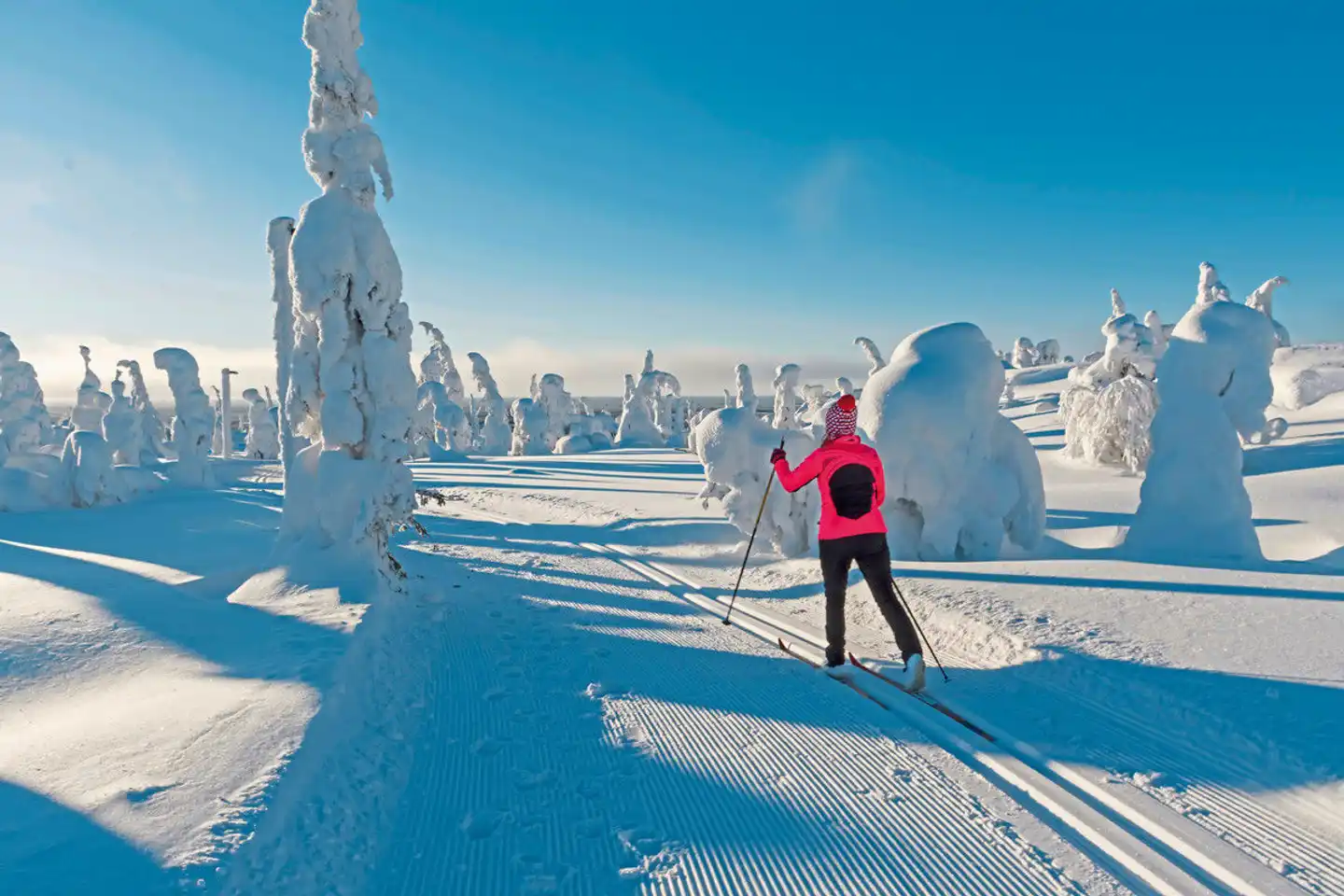 Winterlich aktiv in Schwedisch Lappland Sport und Entertainment