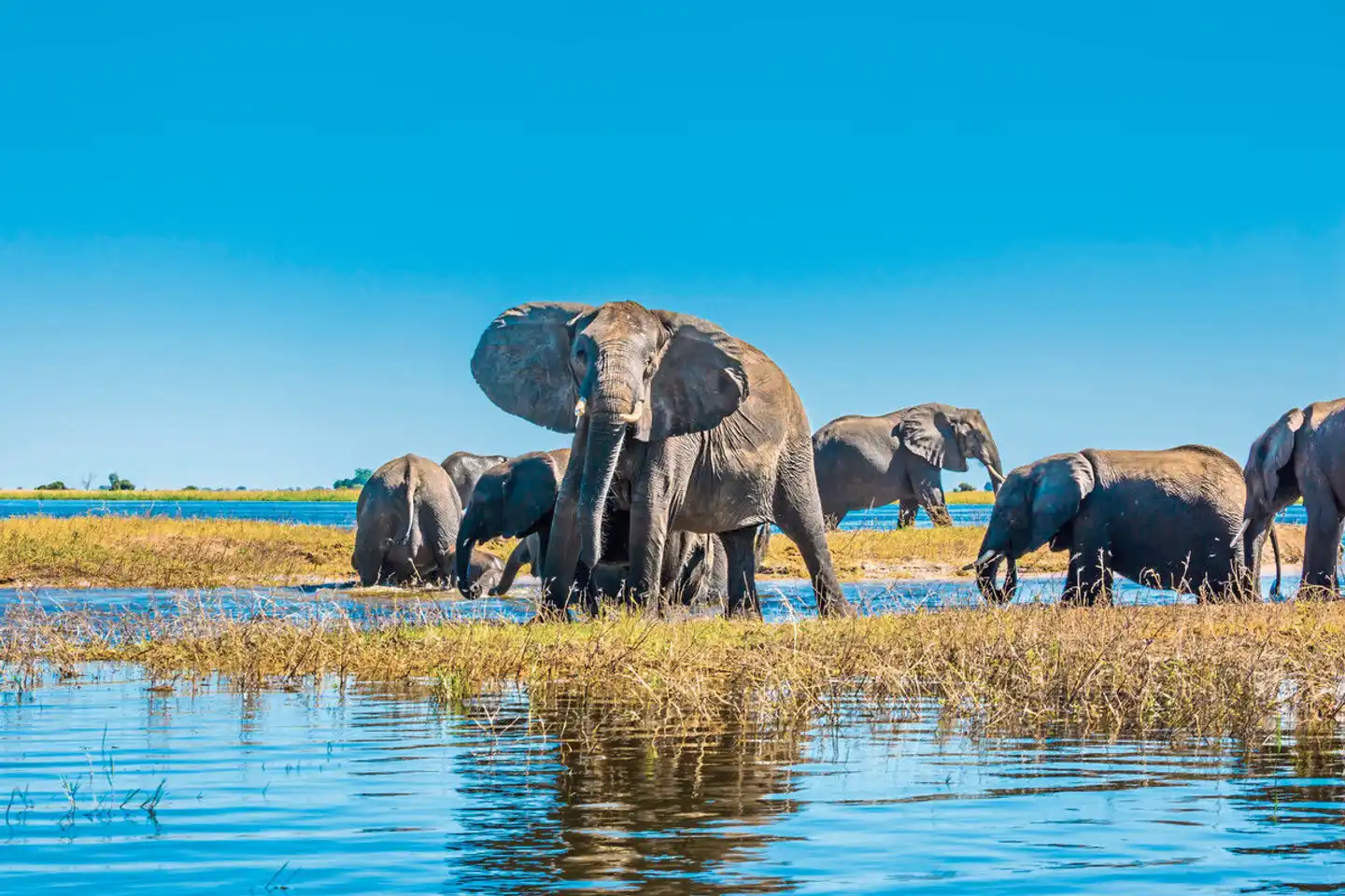 Am Puls der Natur inkl. Mietwagen Tiere