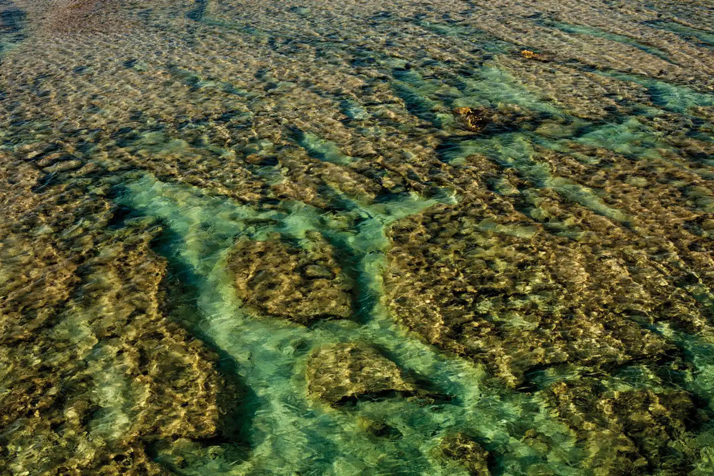 Erlebnis Cook Islands Landschaft