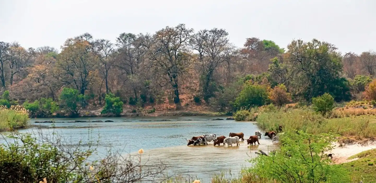 Am Puls der Natur inkl. Mietwagen Landschaft