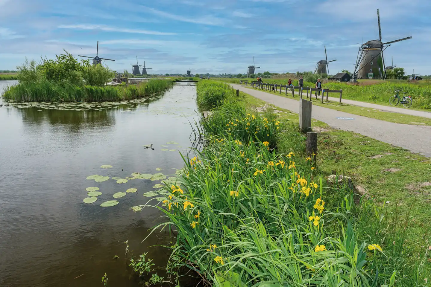 MS Normandie - Südholland Landschaft
