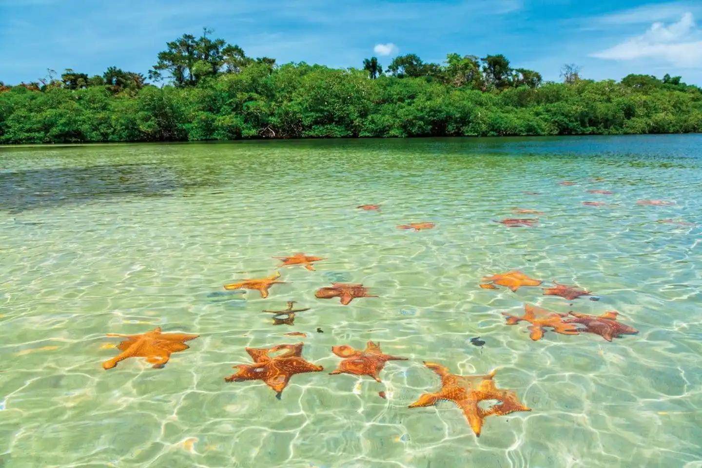 Karibische Inselträume: Bocas del Toro Sport und Entertainment