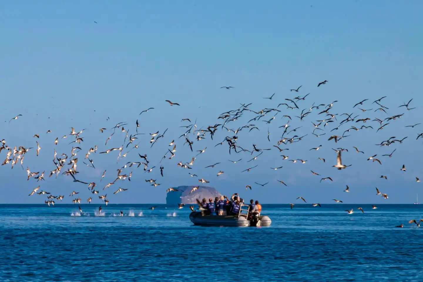 Luxus Galapagos Kreuzfahrt mit Hermes Mega Catamaran Sport und Entertainment
