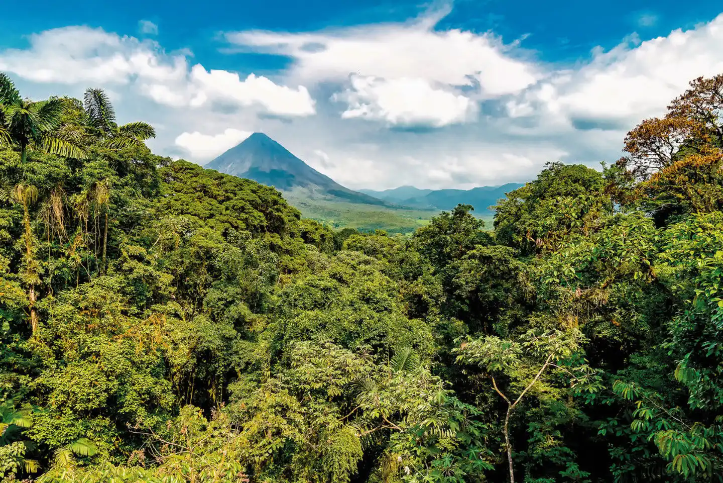 Pura Vida - Luxus & Natur Landschaft