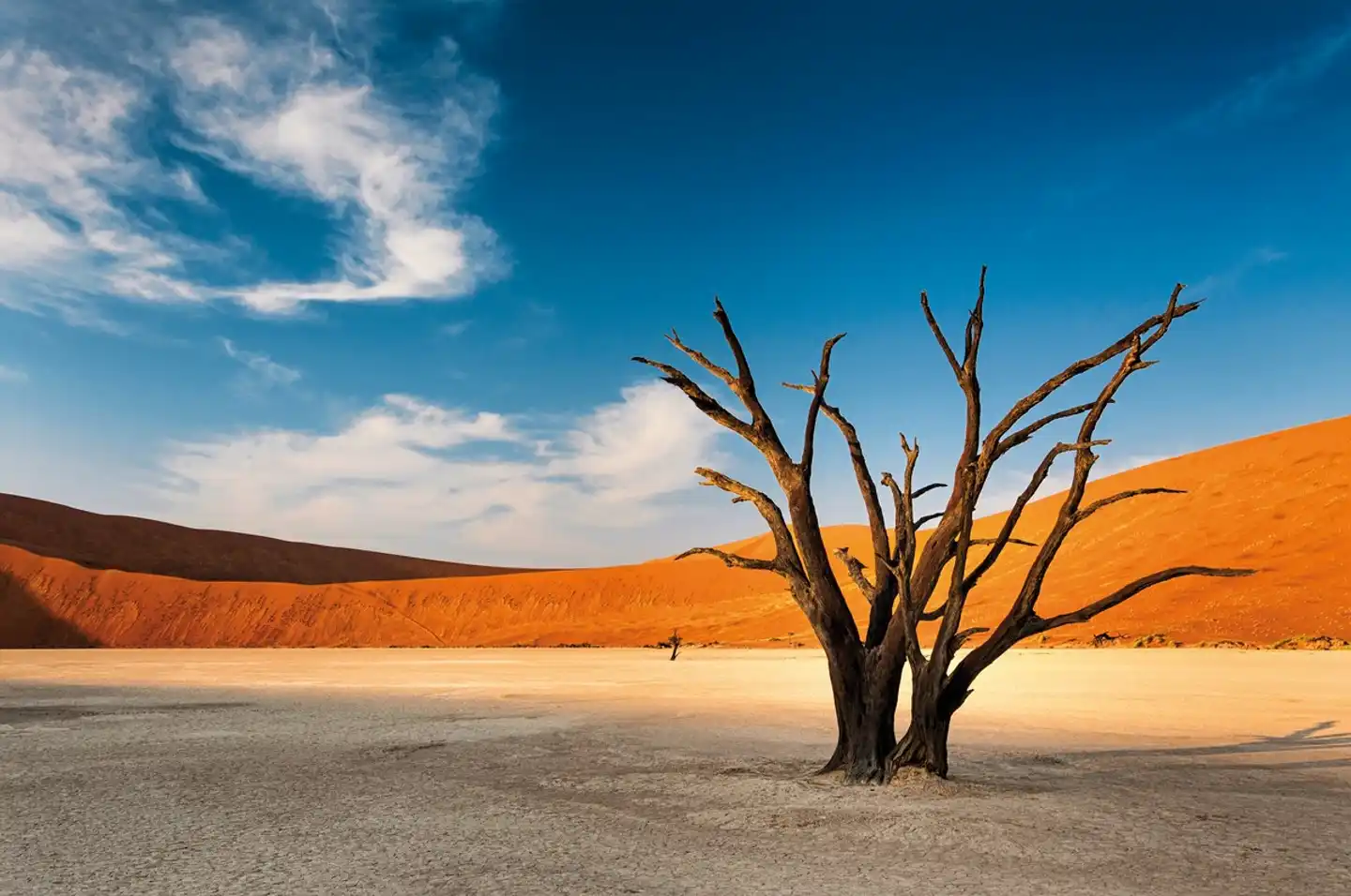 Namibia zum Verweilen Nordwärts Strand
