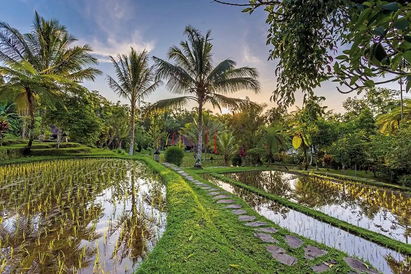 Bali einmal anders (Gruppenreise) Garten