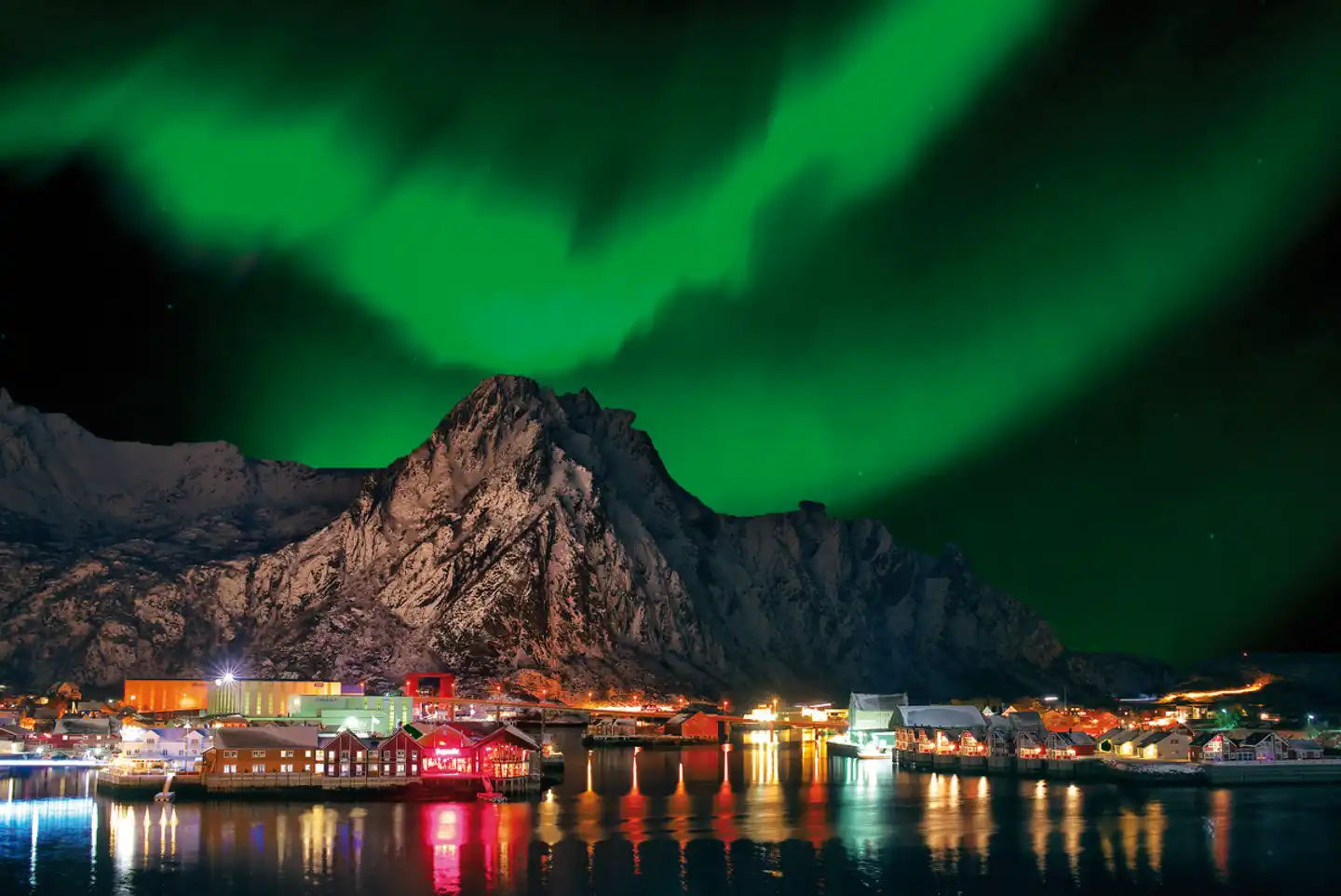 ADAC Special: Mit Hurtigruten zum Nordkap - Das Land der Fjorde Tiere