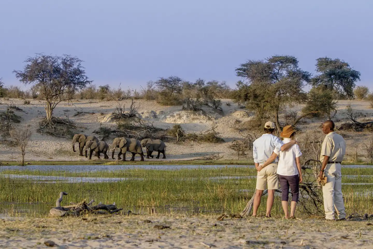 Der Herzschlag Afrikas (8 Nächte ab Kasane) Tiere