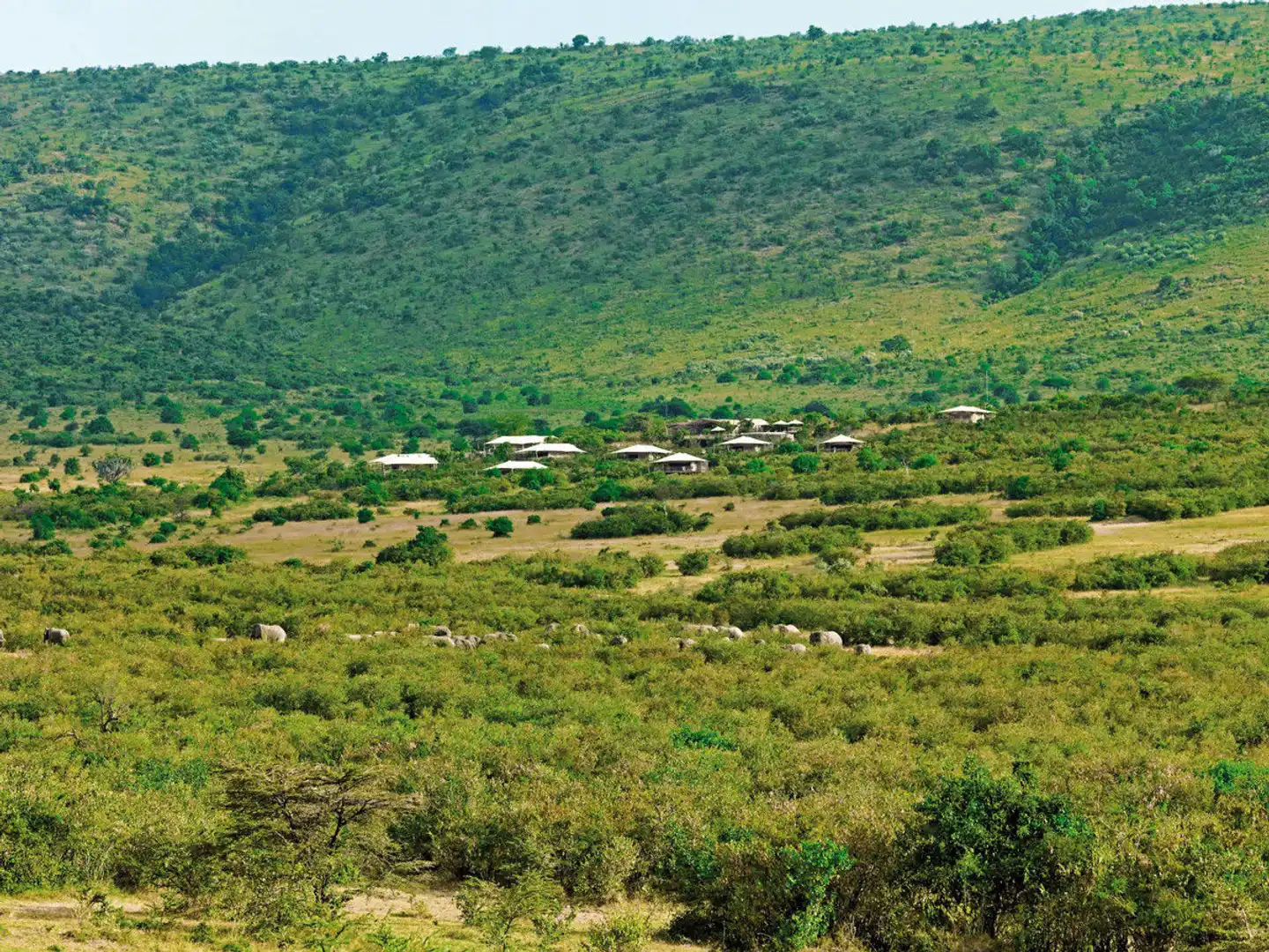 Bushtops Hopping in Kenia und Tansania Landschaft