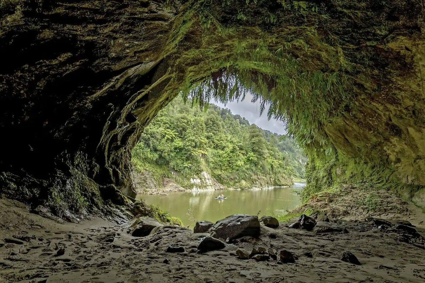 Natur pur - traumhaftes Neuseeland Tiere