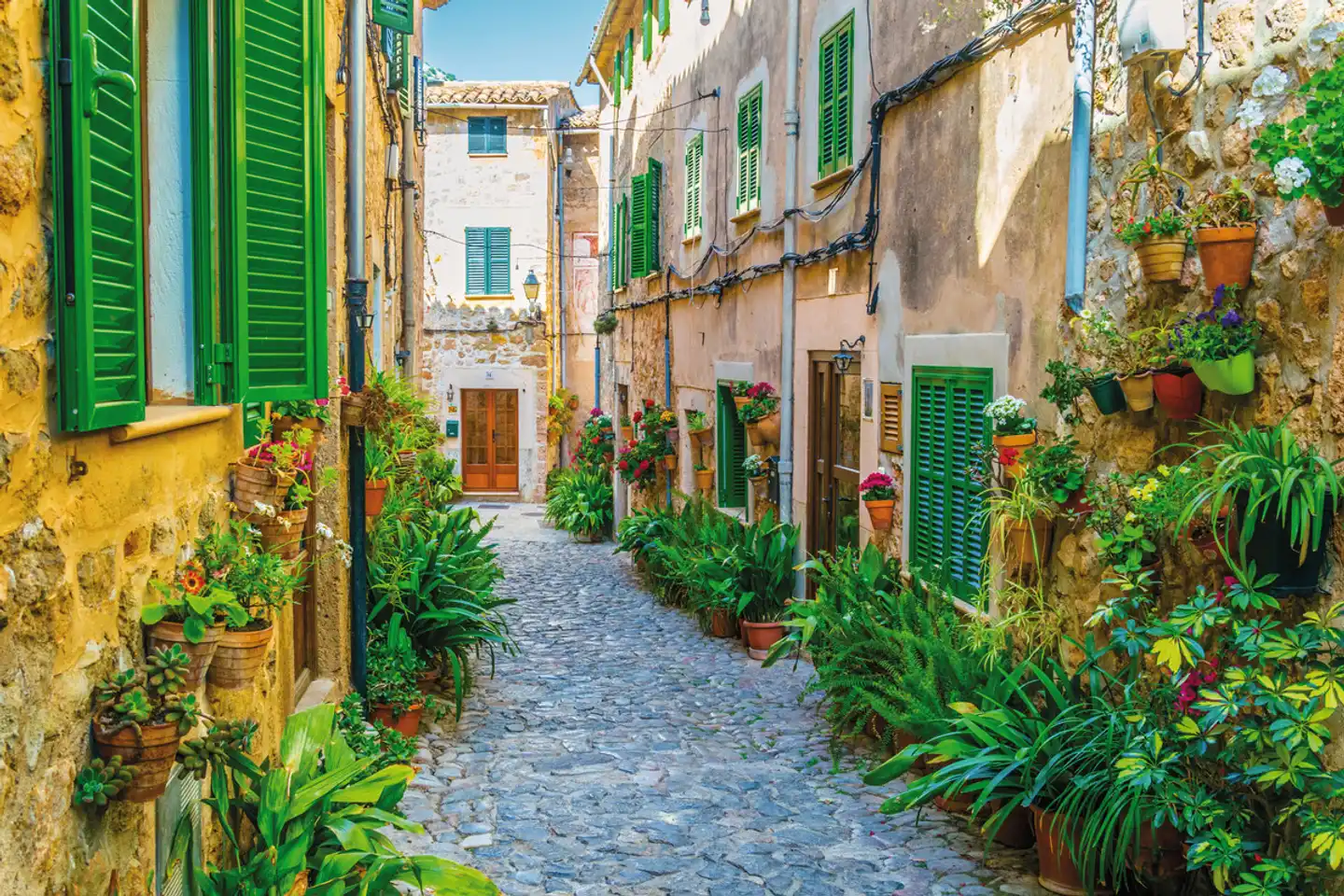 Rundfahrt Mallorca Garten
