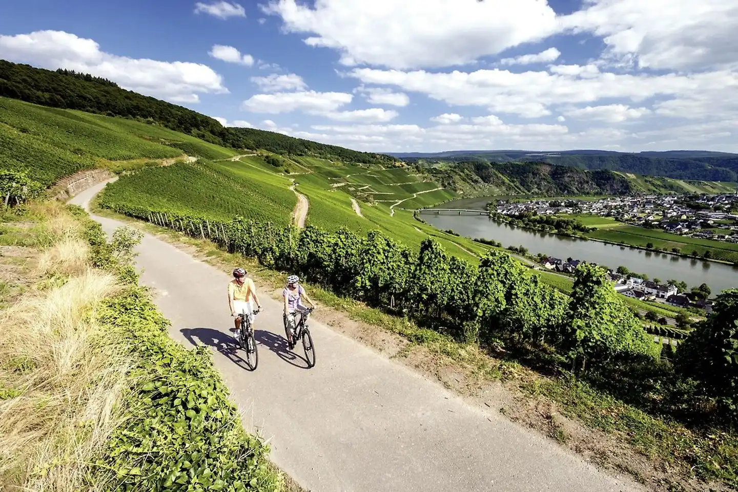 Mosel-Radweg mit Charme Landschaft