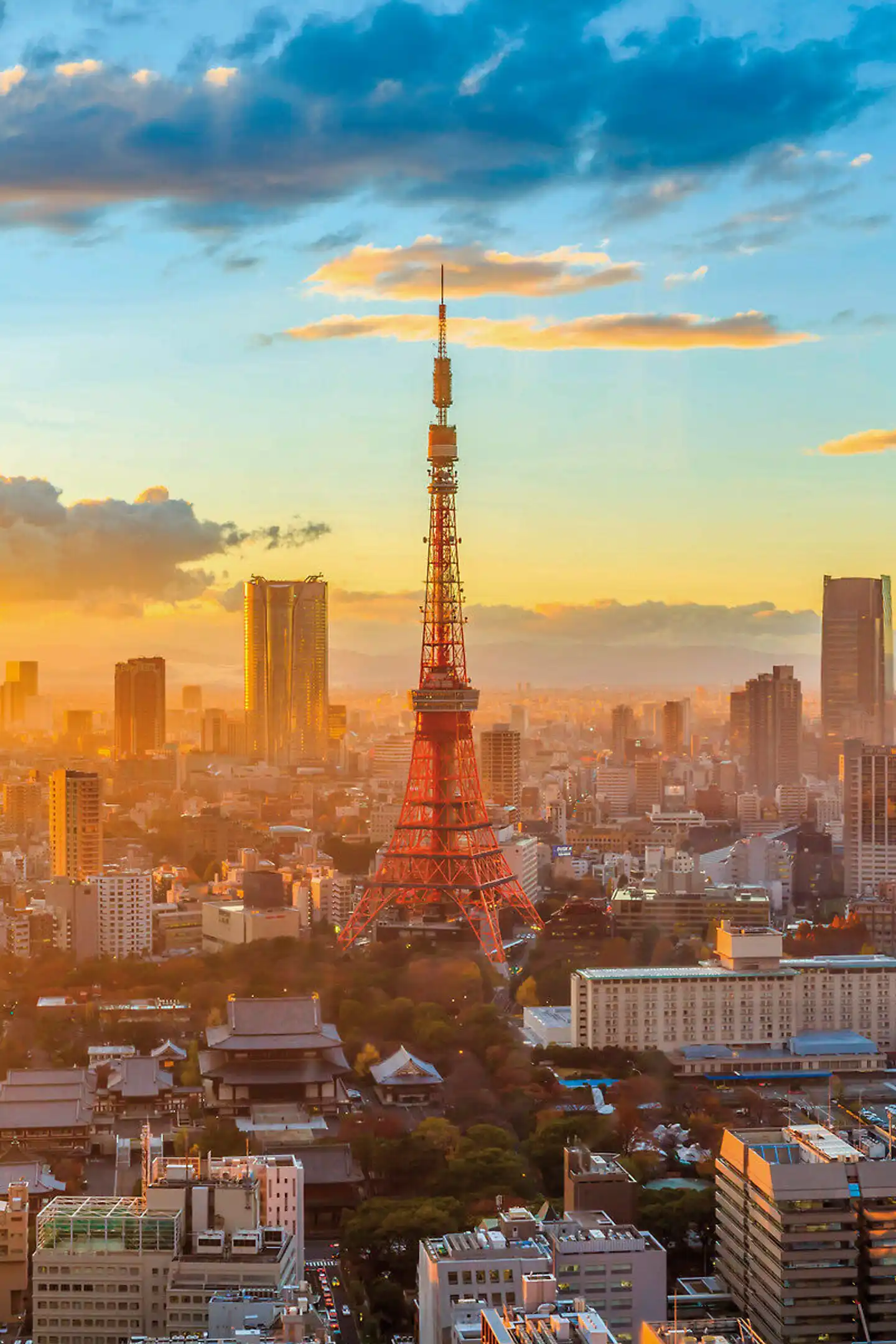 Japan für Individualisten (inkl. Flug) Terrasse