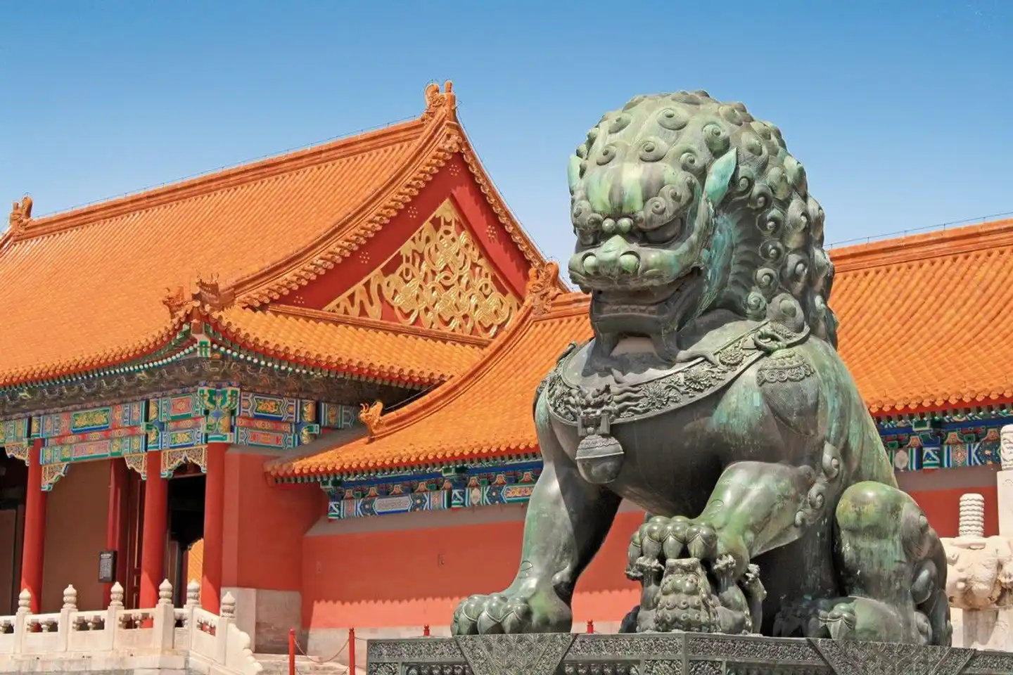 Impressionen Chinas (Privatreise) Tiere