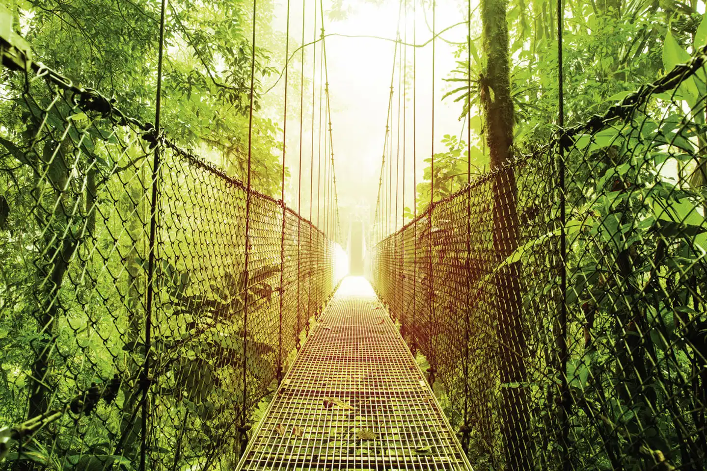Nationalpark Arenal Wellness