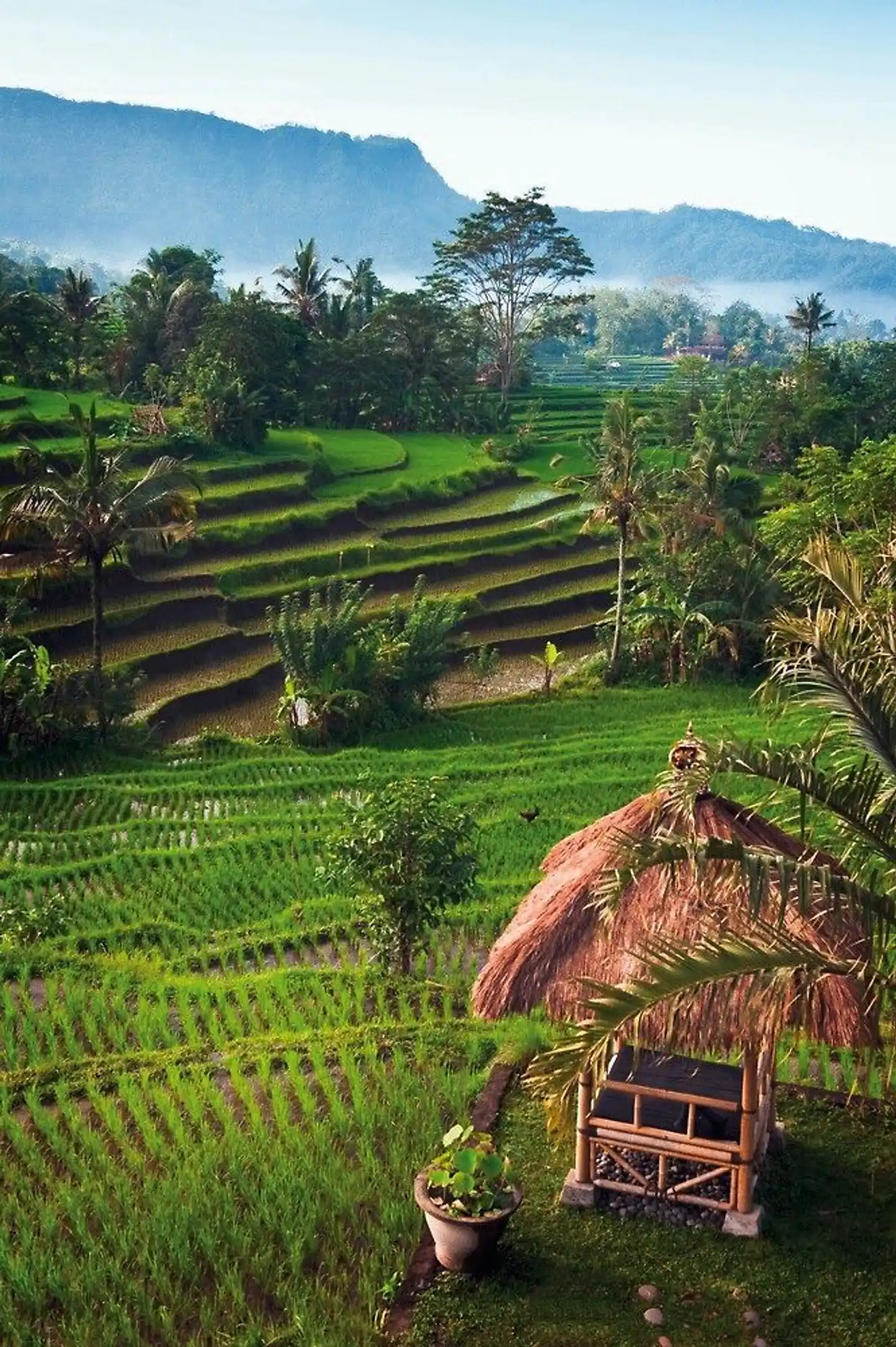Schätze Indonesiens (Gruppenreise) Garten