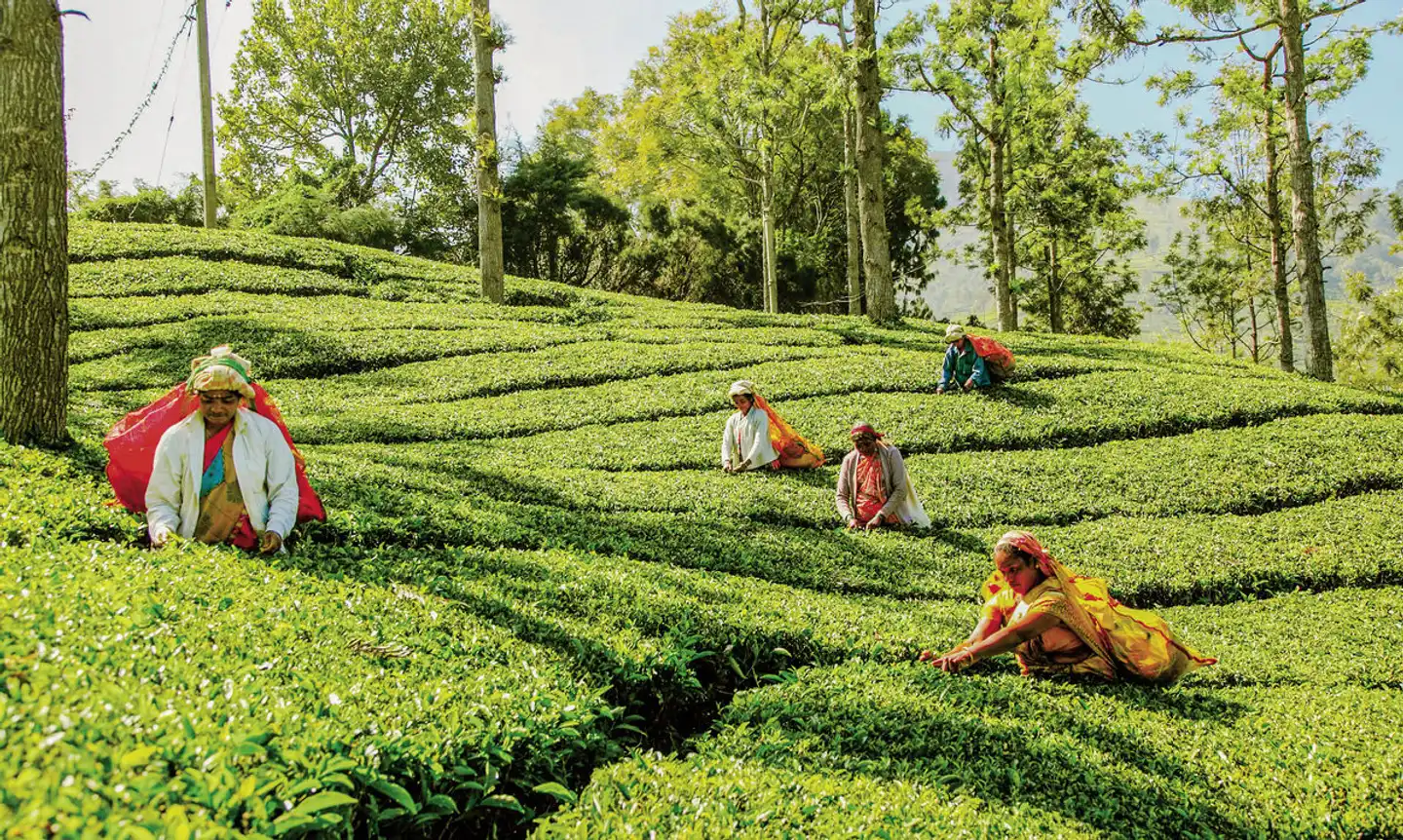 Sri Lanka komfortabel erwandern Sport und Entertainment