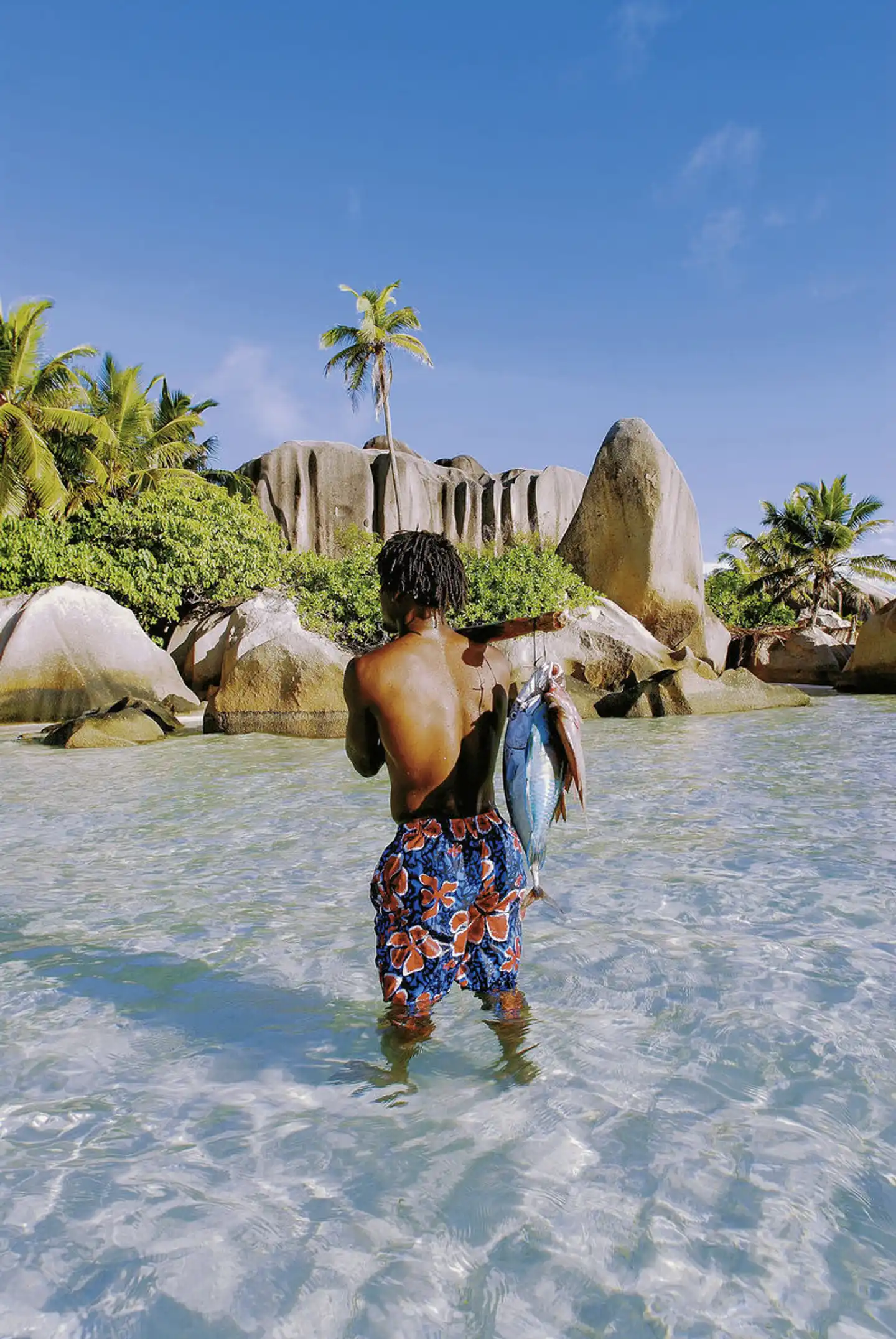 Island Hopping Seychellen - Faszinierender Archipel (Gästehäuser, 10 Nächte) Tiere