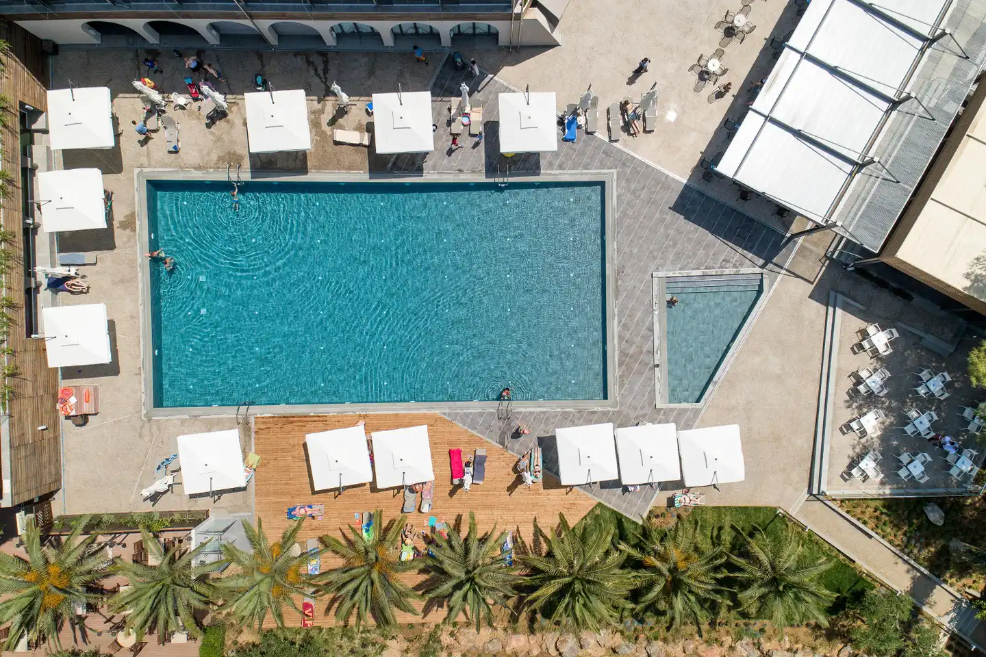 Blue Dolphin AERIAL